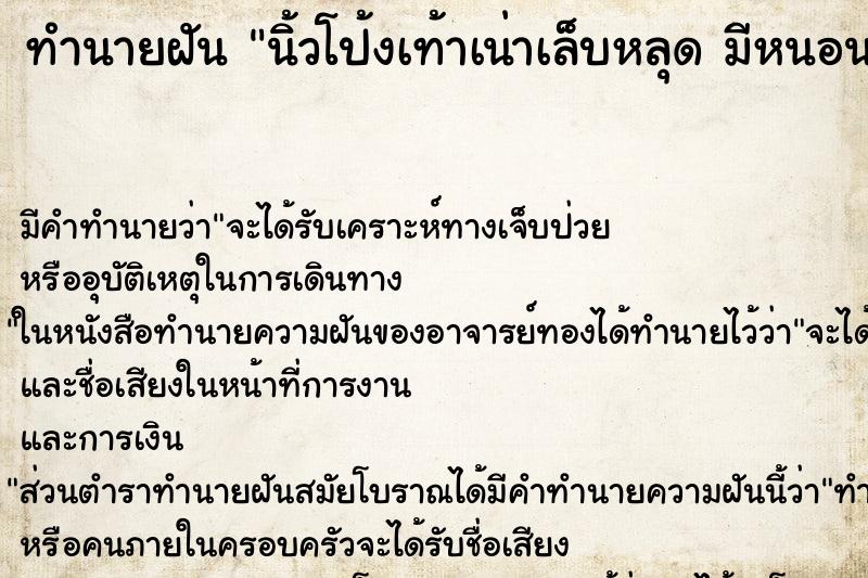 ทำนายฝัน นิ้วโป้งเท้าเน่าเล็บหลุด มีหนอนชอนไชยั้วเยี้ยย ทำนายฝัน นิ้วโป้งเท้าเน่าเล็บหลุด มีหนอนชอนไชยั้วเยี้ยย